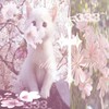 Логотип телеграм канала @njxab7yf9nvjywmy — нарезки игра в кальмара,алиса в пограничье и другие дорамы