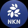 Logo saluran telegram nknetwork — NKN News