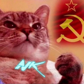 Логотип телеграм канала @nkovide — 🇳 🇰 