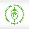 Логотип телеграм канала @nks_sovet — НКС Новосибирский Координационный Совет