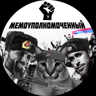 Логотип телеграм канала @nktrash — Мемоуполномоченный