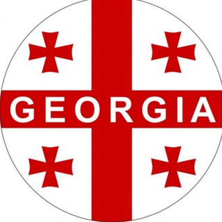 Логотип телеграм канала @nlevshitstelegram — Николай Левшиц - channel in Georgia / Грузия