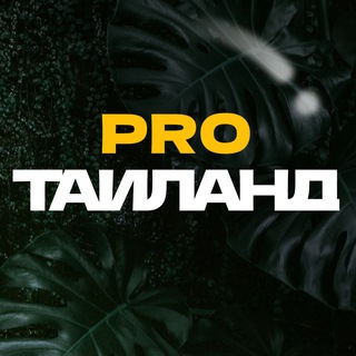 Логотип телеграм канала @nmarketpro_thailand — pro.Таиланд