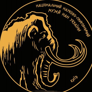Логотип телеграм -каналу nmnh_nas_ukraine — Національний науково-природничий музей НАН України 🇺🇦