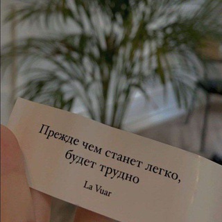 Логотип телеграм канала @nmotiv — ɴᴍᴏᴛɪᴠ🖤