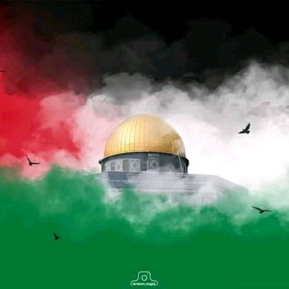 Лагатып тэлеграм-канала nmsj2 — NEJASHI Tube🕍 🕌🕋