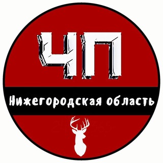 Логотип телеграм канала @nn_obl — ЧП Нижний Новгород и Нижегородская область