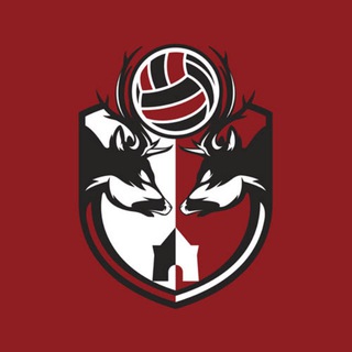 Логотип телеграм канала @nn_volley — ВК АСК