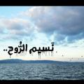 Logo saluran telegram nnaaseem — نَسيم الرّوح..
