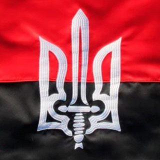 Логотип телеграм -каналу nnational — НАЦІОНАЛІСТ NEWS 🇺🇦✊