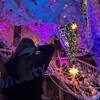 Логотип телеграм канала @nnnikaserp — никуська😝