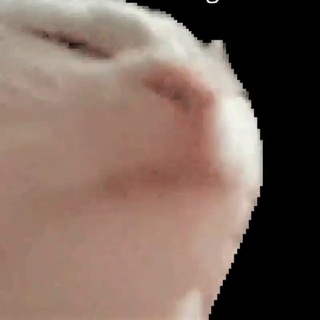 Логотип телеграм канала @no_gifs — картинки шевелятся