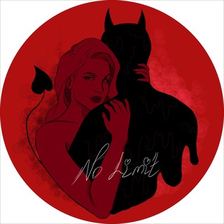 Логотип телеграм канала @no_limit_plus2 — No Limit Plus