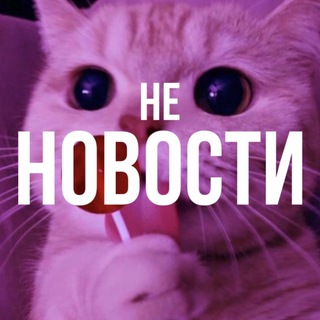 Логотип телеграм канала @no_news_ch — не новости🐾