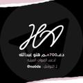 Logo saluran telegram no0da98 — دليـل دعم هنو عبدالله.