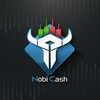 टेलीग्राम चैनल का लोगो nobicash — نوبیکش