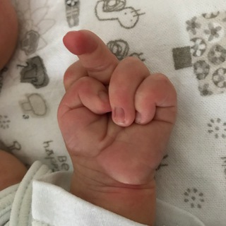 Логотип телеграм канала @nobodypanic — БЕЗ ПАНИКИ