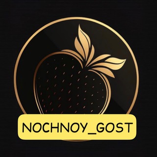 Логотип телеграм канала @nochnoy_gost — Ночной гость