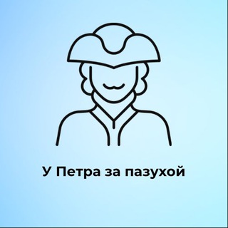 Логотип телеграм канала @nocommentsrussia1703 — У Петра за пазухой | Питер