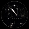 Telegram channel NOCTARA logo