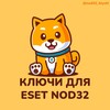 Логотип телеграм канала @nod32_klychi — Ключи для ESET NOD32 бесплатно 2025 | Free keys for NOD32 2026 🔧