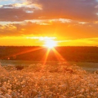 Логотип телеграм канала @nofapnofapnofapnofapnofap — Дневник Воздержание