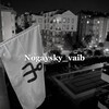Логотип телеграм канала @nogailar010 — nogaysky_vaib