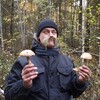 Логотип телеграм канала @noginesut — Куда ноги несут