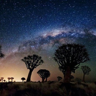 Telgraf kanalının logosu nojumeislami — نجوم اسلامی 🌙