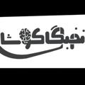 Logo saluran telegram nokhbegankoosha — موسسه نخبگان کوشا / دهم تا کنکور