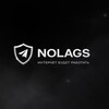 Логотип телеграм канала @nolagsinfo — NoLags | VPN | MTProxy
