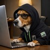 Логотип телеграм канала @nomadsecurity — Security nomad