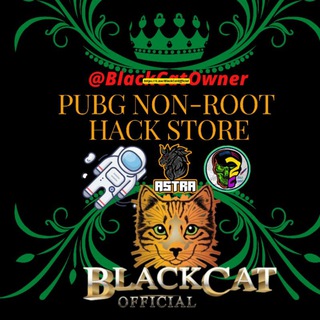 Telegram channel PUBG NON-ROOT HACK STORE logo