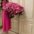 لوگوی کانال تلگرام nona12346 — Pink💕👼🏻