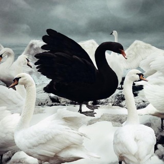 Логотип телеграм канала @nonblockchain — Неблокчейн