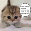 Логотип телеграм канала @nons1488 — не окружён, но сломлен