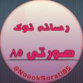 Logo saluran telegram noooksorati85 — 🔥 رسانه نوک صورتی ۸۵ 💦🍑
