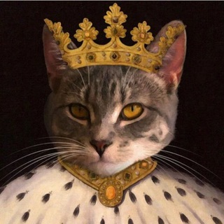 Логотип телеграм канала @nopunchmemes — The King of Memes