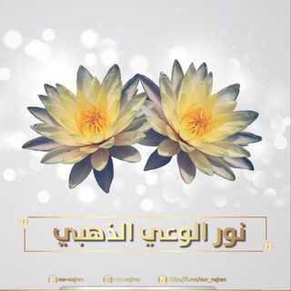 لوگوی کانال تلگرام nor_najran — نور الوعي الذهبي ⭐️💡