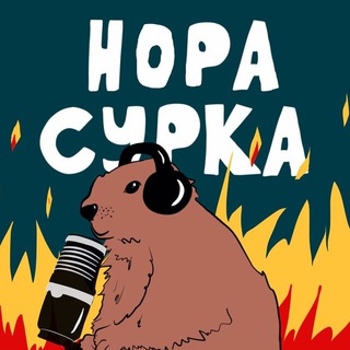 Логотип телеграм канала @norasurka — Нора Сурка