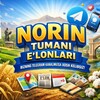 टेलीग्राम चैनल का लोगो norin_elon_reklama — NORIN I E'LONLAR