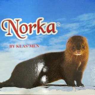 Логотип телеграм канала @norkafati — Norka👠бренд👍обувьФати