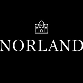 Логотип телеграм канала @norlandschool — Norland.Academy