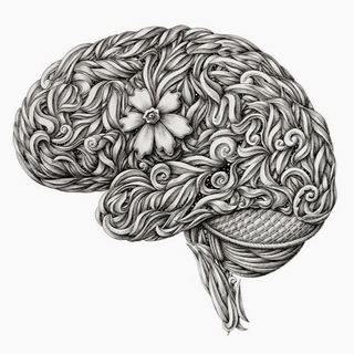 Логотип телеграм канала @norm_pat_anatomy — Анатомия и топография