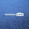 Логотип телеграм канала @normalife_spb — Загородный дом мечты | NORMA.life