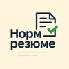 Логотип телеграм канала @normresume — Норм резюме