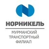 Логотип телеграм канала @nornickel_mtf — МТФ Норникель