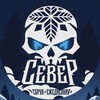 Логотип телеграм канала @north_russia_edc — North Russia EDC