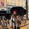 Логотип телеграм канала @northern_diary — northern diary