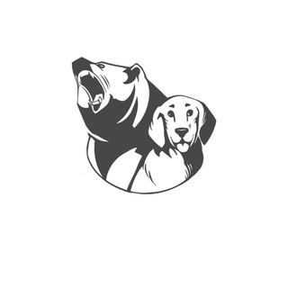 Логотип телеграм канала @northernbearspb — Северный Медведь